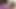 COLOMBIAN LATINA stepMOM WAS SHAKING HER ASS ON TIK TOK AND HER STEPSON SAW HER, GAVE HER AN AMATEUR POV BLOWJOB