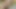 本物のレズビアンとセックスしてみませんか?