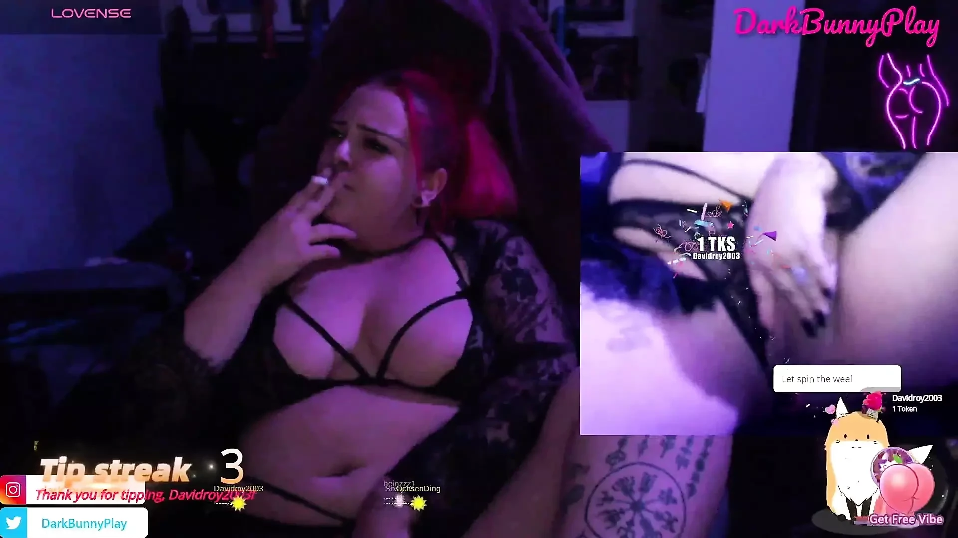 Bunny precisa