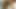 Sikh Uncut Foreskin Cum Massive Fountain