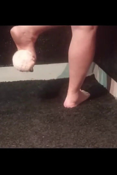 Mel Play with Pet 1