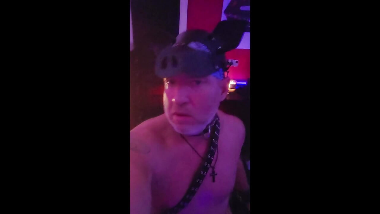 Pig Bigsexydaddyd Makes Domkat Kat-licious Squeal in Pleasure