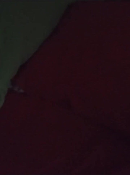 Morbid Old Man Enters His Wife's Room and Records Her