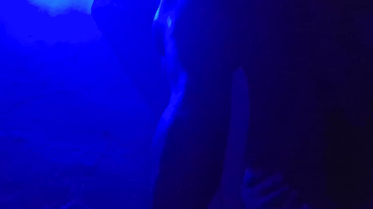 Pareja india caliente folla hardcore