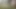 shooting outside