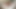 大学時代の小柄な女の子を追いかけてる