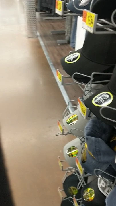 Asszilla on the Move
