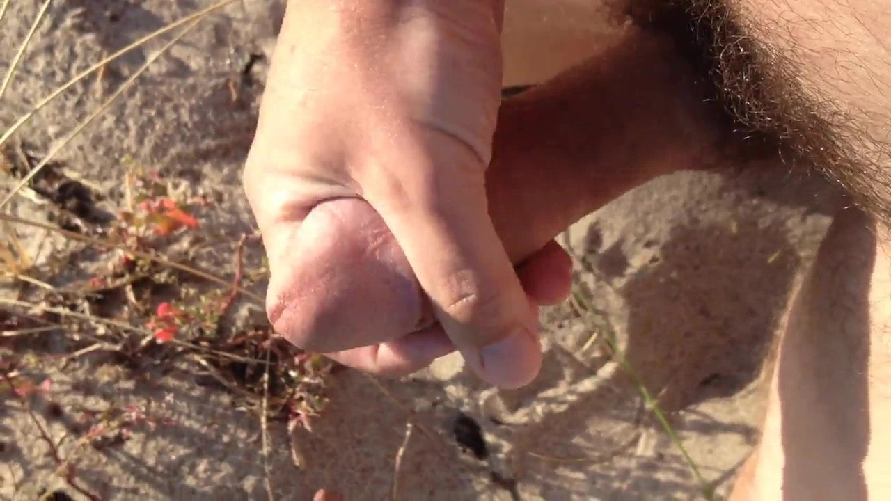 Harige penis trok zich af op het strand