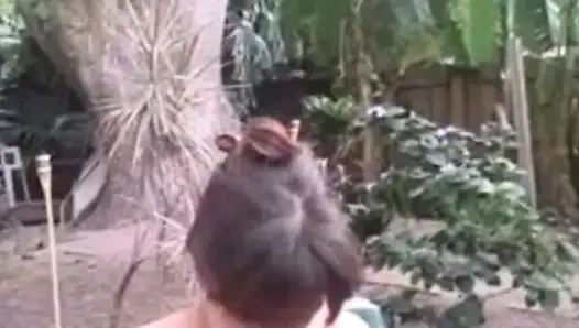 Adegan rayuan brandon di tangga