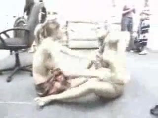 cat fight