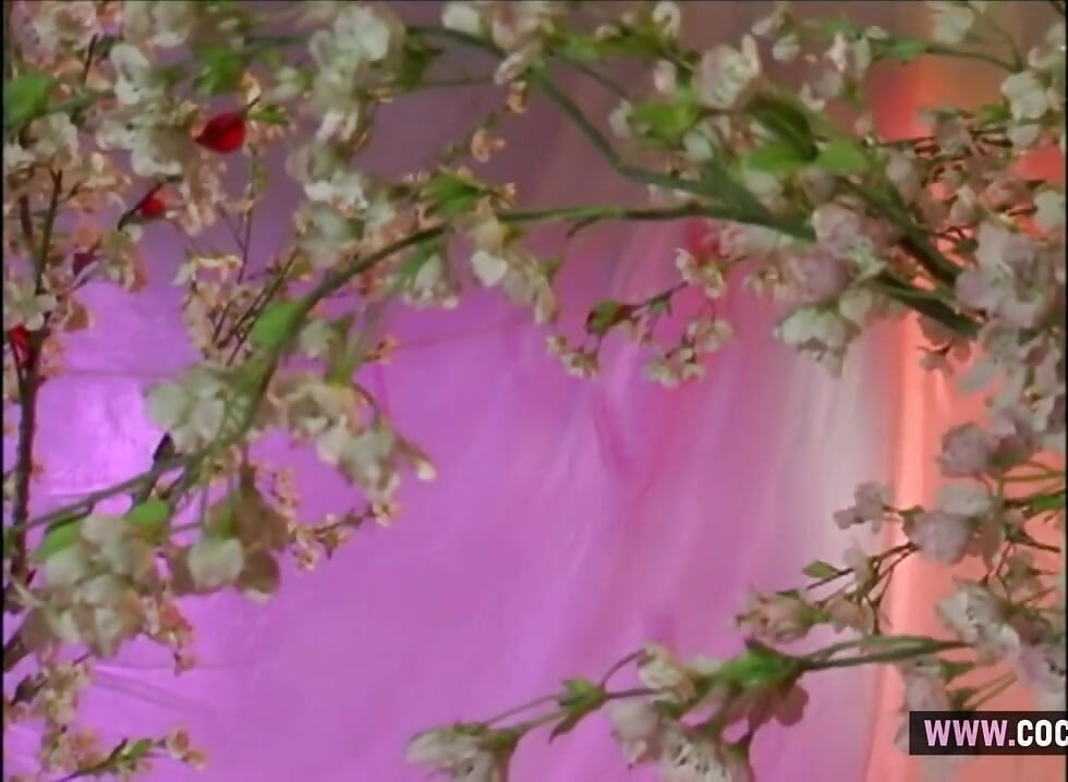 Brinete lezbejke senzualno igraju sa dildom u cherry blossom