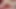 Sissy Hands Free Cum From Big Dildo