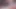 Seksi Noel Elf 2 büyük zenci ile ateşli bir üçlü seks yapıyor