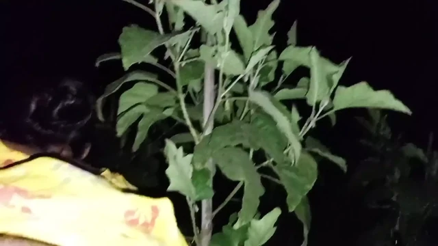 🍆 Outdoor Desi Hot Bhabhi Big sexy ass