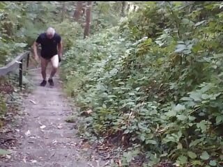 Escaleras naturistas en la montaña del bosque