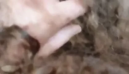 Tenham inveja deste rapaz eheh