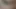 Cumshot