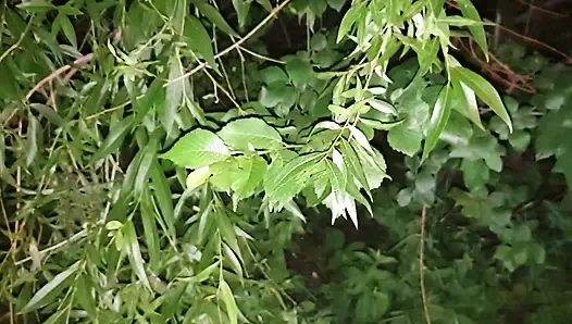 Секс в парке с Rosalina Love