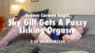 Pregled videozapisa