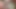 Guys jerk cocks off in my face & shoot their cum in my mouth
