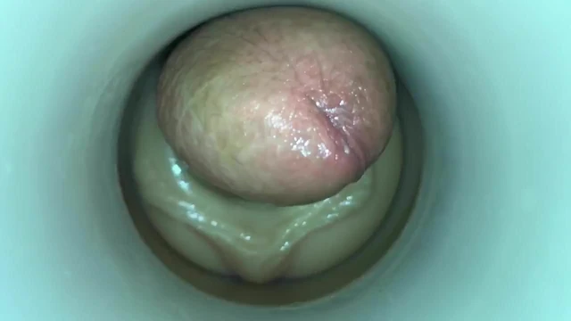 Sir Cum Sized  by cum cam man
