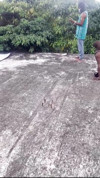 Pratinjau video