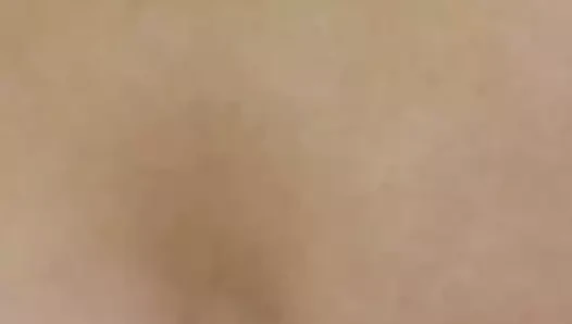 anal fiş