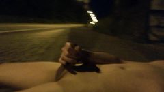 Walked naked beside the road at night, caught the first time