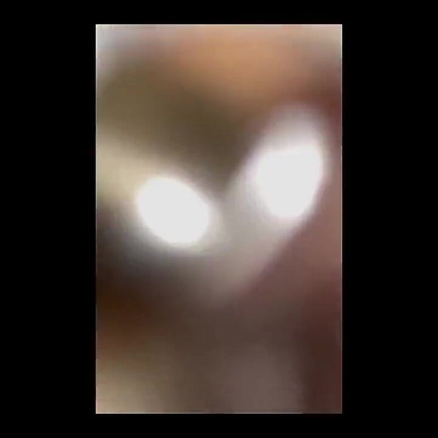 내 안에 나를 보고 싶으신가요?