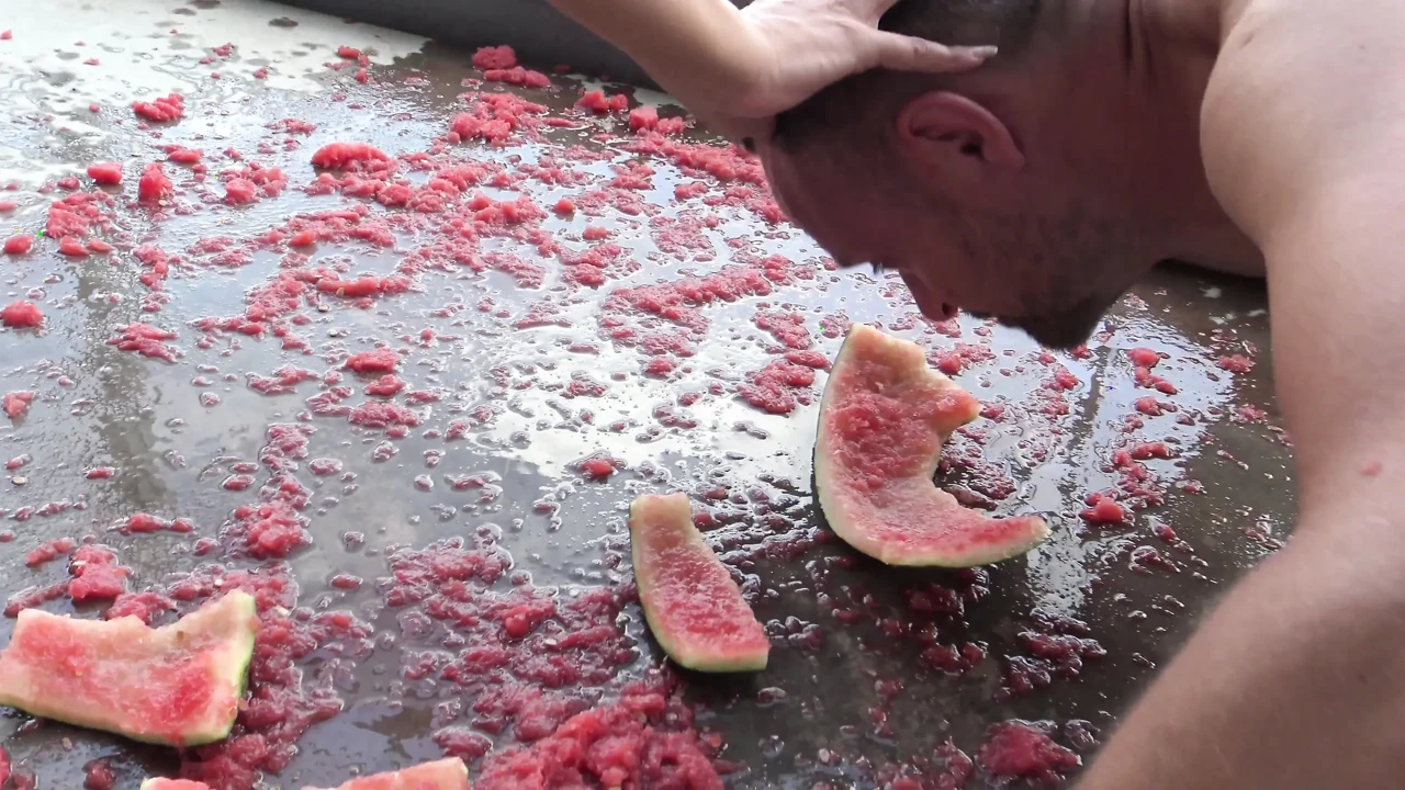 Watermelon feeding!