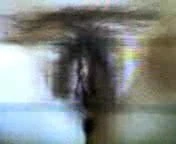hairy pussy