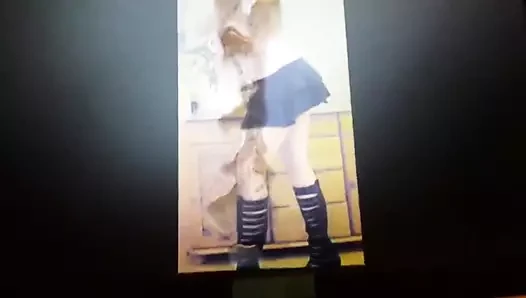 ppslut