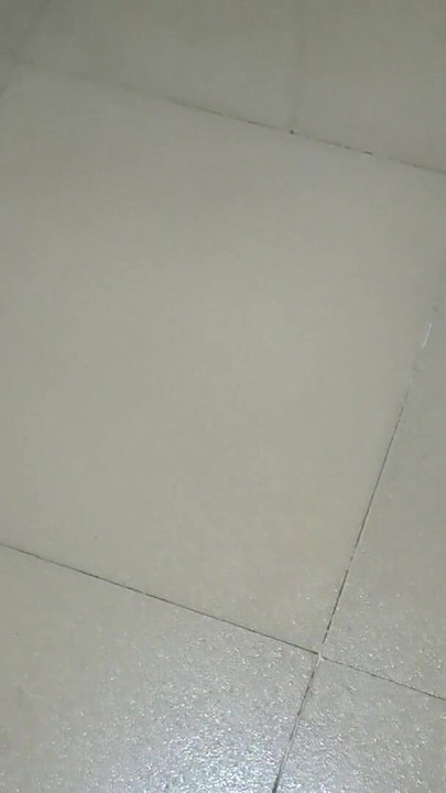 Epic moment from "I bought my new tights from D Mart after shopping"