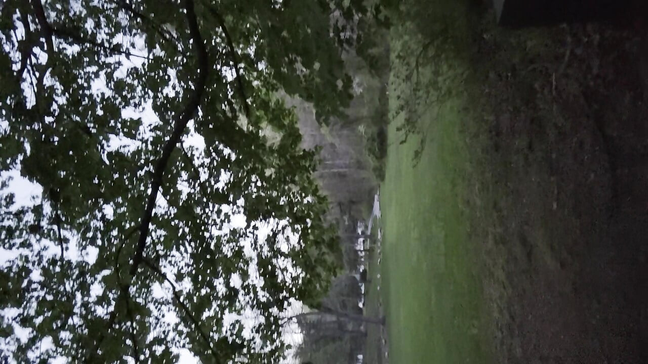 Very risky walk in the open!