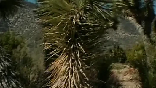 Heißer outdoor-fick mit hervorragender blonder schlampe