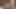 Latina shemale Isabella Cruz gets a cumshot in mouth from a