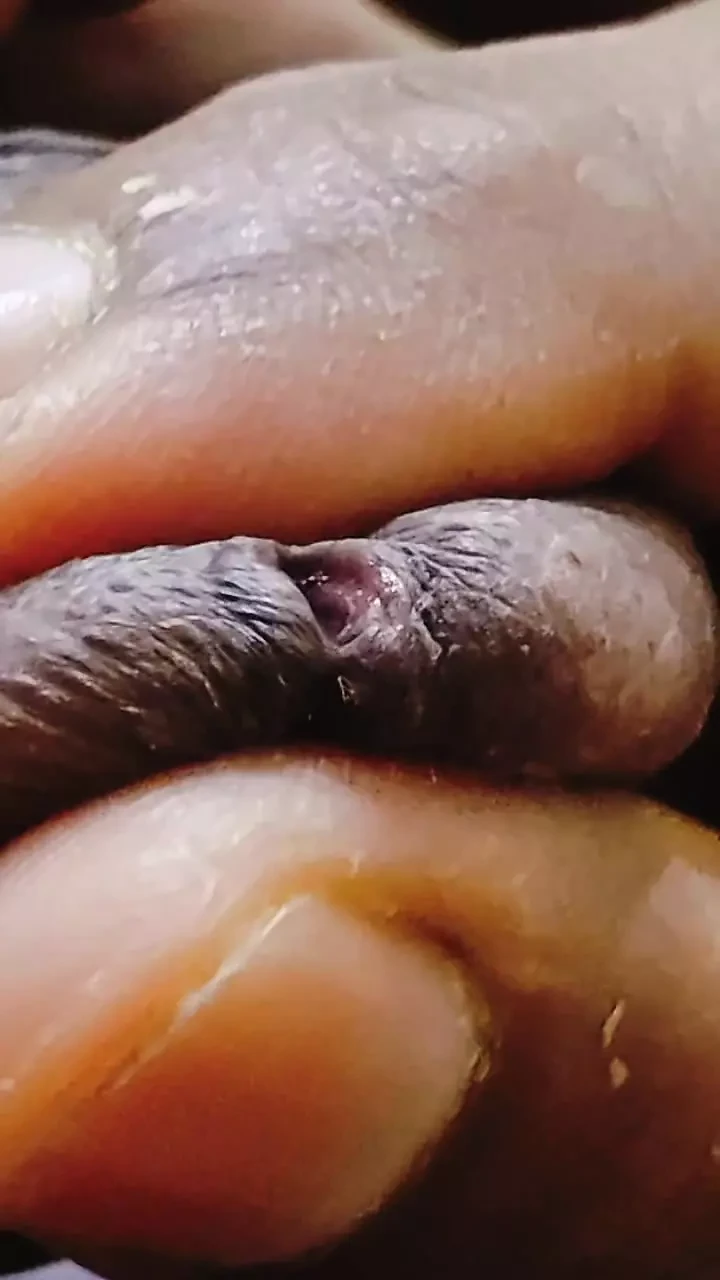 黑鸡巴在硬操逼和红头特写