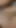 Seksi komşum bizi sikimizi birlikte almaya davet ediyor | Klip 2