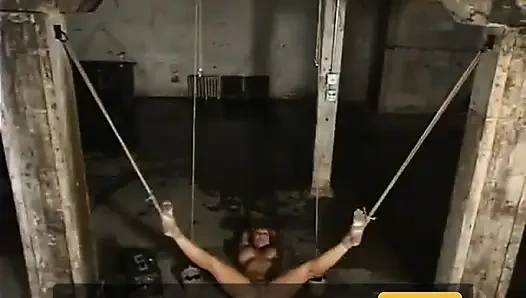 Ava Devine