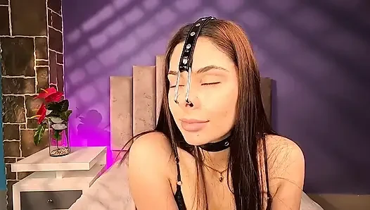 Hidung babi arpone