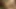 Çift genç öğrenciler İngiliz edebiyatı öğrenmek yerine bulanık barda peruklamanın tadını çıkarıyor