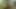 Aman tanrım! Büyük zenci yarağı x videosunda ilk kez sıkı bakire amcığımı açıyor.