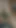 Bangladeşli bakire kız viral seks videosu. | Klip 2