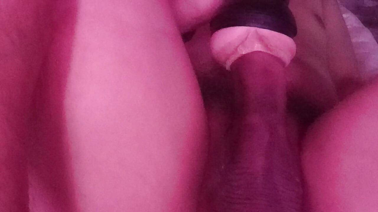 Warm My Milk Day 1640