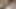 lazy weekend alone - big cumshot