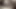 Hairy chubby guy sucks my cock and I fill his mouth with cum