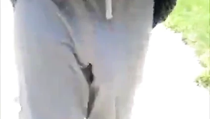 bulge9