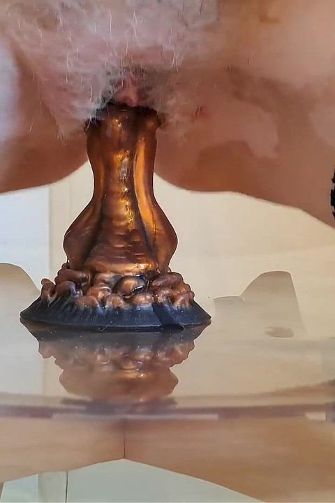 又一次与龙的飞行