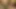 Desi village bhabhi and dewar best sex new video 2025