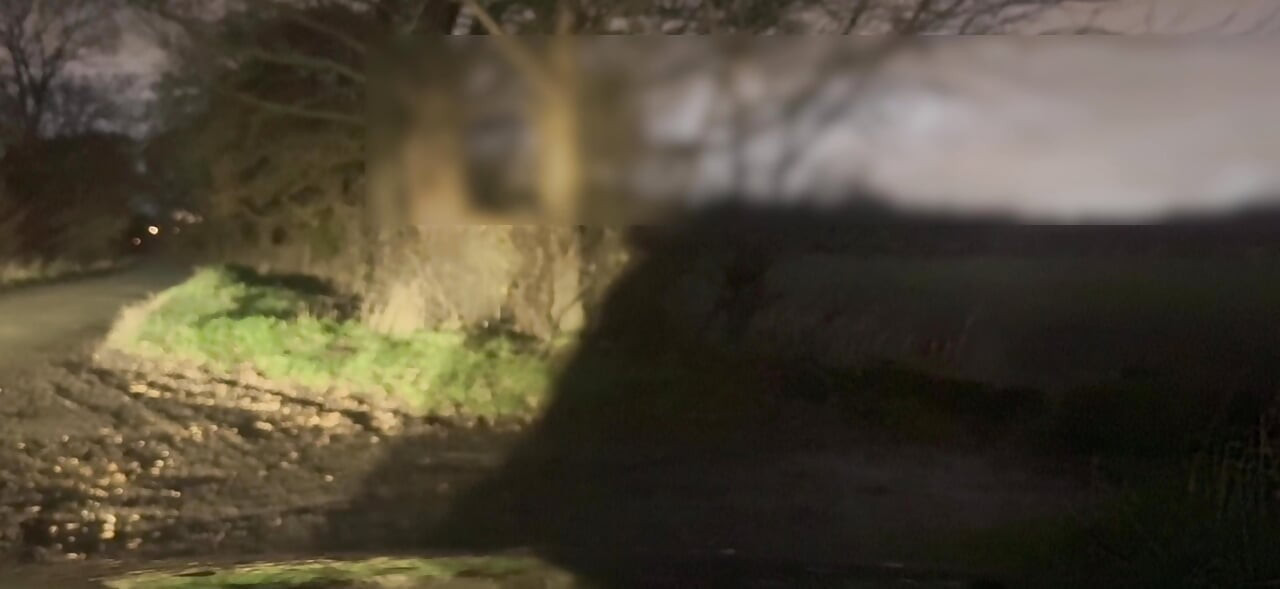 Telanjang dan bertelanjang kaki bersembunyi dari mobil yang lewat masturbasi dan twerking